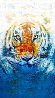 Life of Pi Mouse Pad 1064662