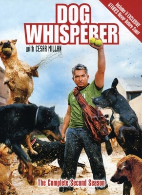 Dog Whisperer with Cesar Millan Wooden Framed Poster