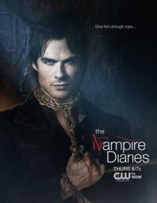 The Vampire Diaries Wooden Framed Poster