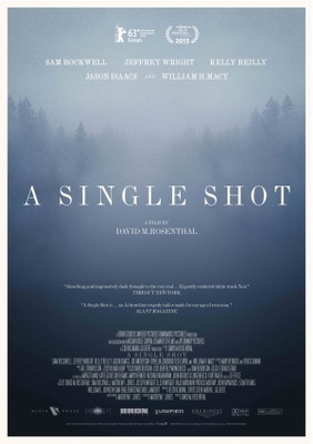 A Single Shot poster