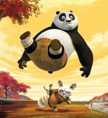 Kung Fu Panda 2 pillow