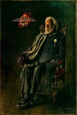 The Hunger Games: Catching Fire Poster 1068663