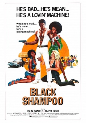 Black Shampoo Wooden Framed Poster