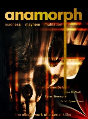 Anamorph Metal Framed Poster