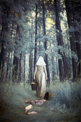 American Horror Story Wooden Framed Poster