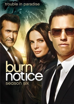Burn Notice Poster with Hanger