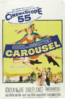 Carousel Canvas Poster