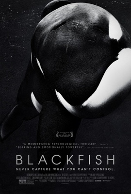 Blackfish Wooden Framed Poster