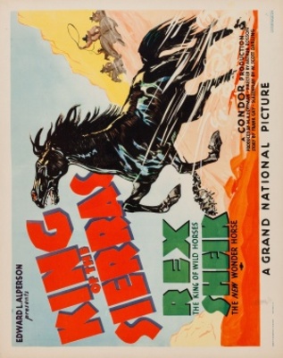 King of the Sierras Metal Framed Poster