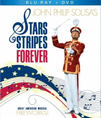 Stars and Stripes Forever Canvas Poster