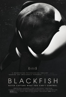 Blackfish Canvas Poster
