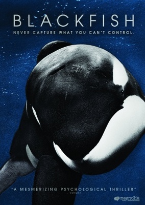 Blackfish Poster with Hanger