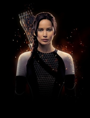 The Hunger Games: Catching Fire Stickers 1123424