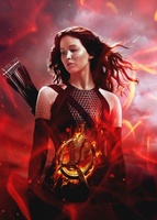 The Hunger Games: Catching Fire Longsleeve T-shirt #1123493