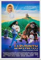 Labyrinth hoodie #1124230