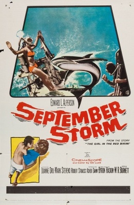 September Storm Canvas Poster