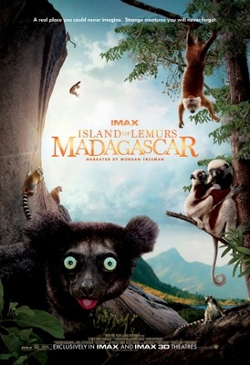 Island of Lemurs: Madagascar Sweatshirt