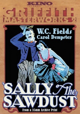 Sally of the Sawdust pillow