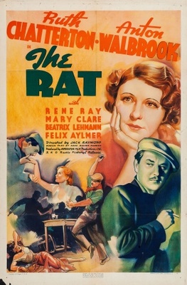 The Rat Poster 1134355