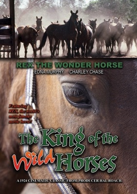 The King of the Wild Horses poster