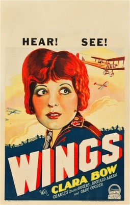 Wings Metal Framed Poster