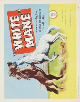 Crin blanc: Le cheval sauvage Canvas Poster