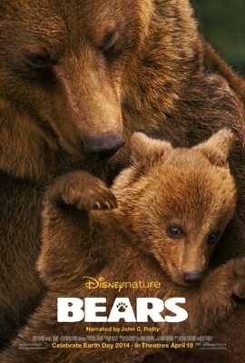 Bears pillow