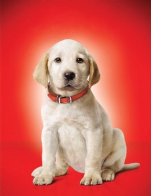 Marley & Me Poster with Hanger