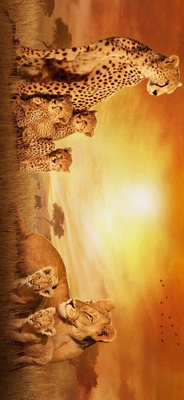 African Cats Poster 1150874