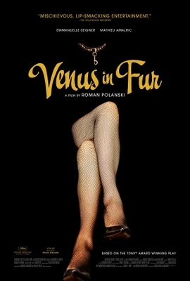La Vénus à la fourrure (2013) posters