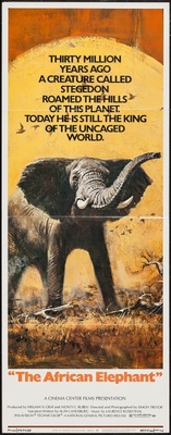 The African Elephant Metal Framed Poster