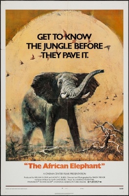 The African Elephant Poster 1164127