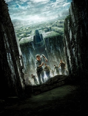 The Maze Runner puzzle 1190515