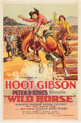 Wild Horse Wooden Framed Poster