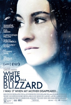 White Bird in a Blizzard Canvas Poster