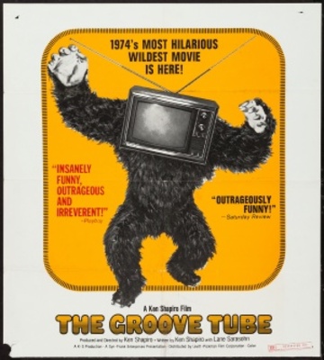 The Groove Tube poster