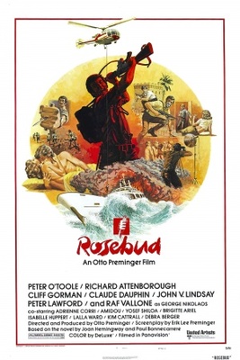 Rosebud Poster with Hanger