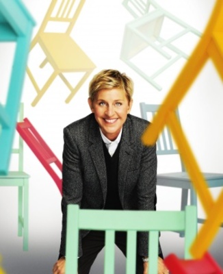 Ellen's Design Challenge pillow