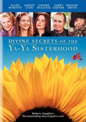 Divine Secrets of the Ya-Ya Sisterhood kids t-shirt