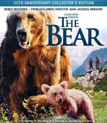 The Bear Canvas Poster