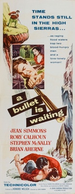 A Bullet Is Waiting Metal Framed Poster