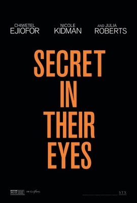 Secret in Their Eyes pillow