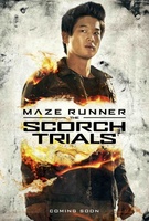 Maze Runner: The Scorch Trials Mouse Pad 1255913