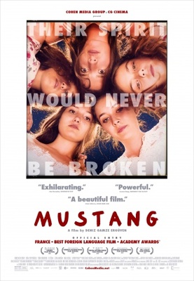 Mustang Canvas Poster