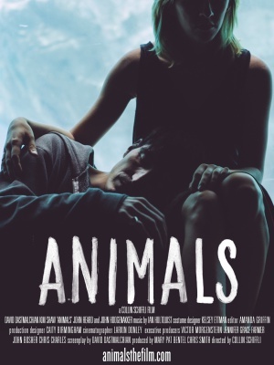Animals Poster 1261536