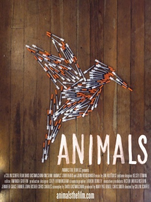 Animals Poster 1300534