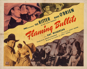 Flaming Bullets Canvas Poster