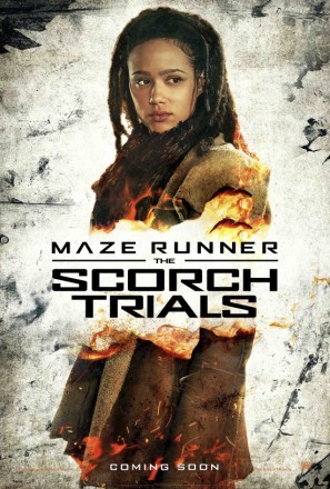 Maze Runner: The Scorch Trials Stickers 1301722