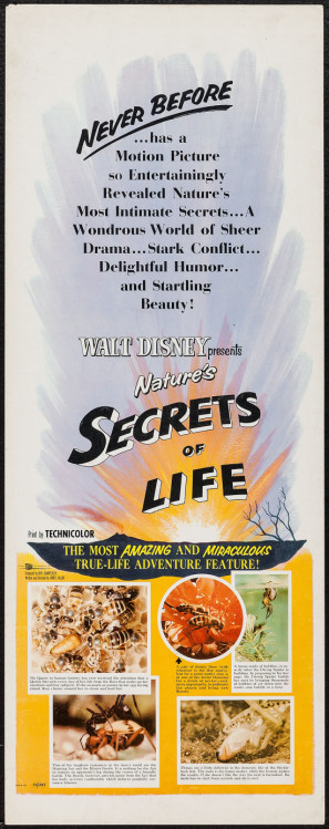 Secrets of Life Poster with Hanger