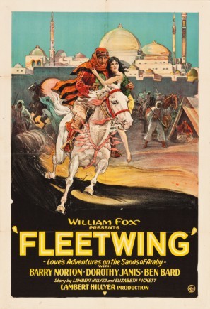 Fleetwing poster